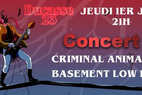 Concerts @ La Lorgnette Criminal Animal - Basement Low End