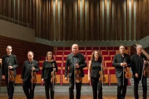La harpe, un instrument à la sonorité céleste