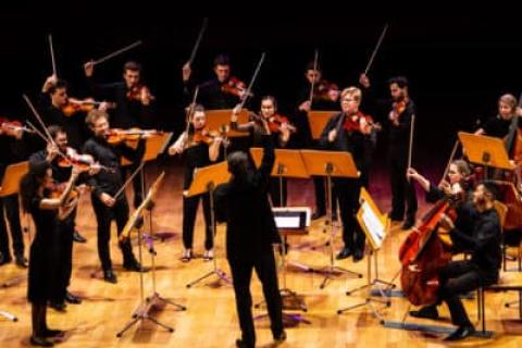 Young Belgian Strings