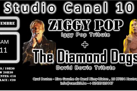 Ziggy Pop (Iggy Pop) + The Diamond dogs (Bowie)