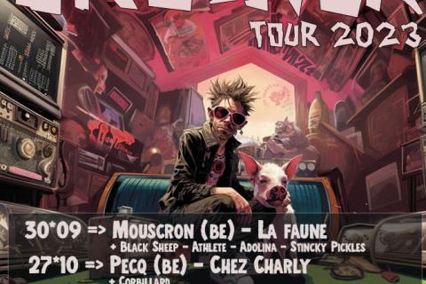 Reckless Chumps & Groinck (punkpunkpunk)