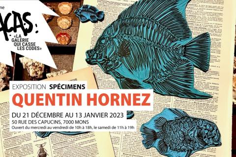 FRACAS - Quentin Hornez // Vernissage de l'exposition "Spécimens"