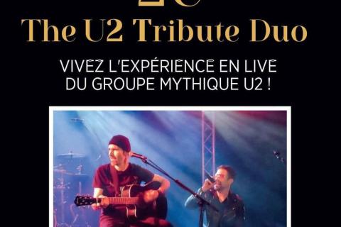 Concert Cover U2