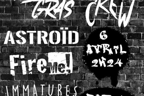 Punk Rock Fest #1 W/ Acid Gras / Astroid / Fl Crew / Fire Me! / Immatures