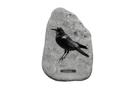 The Crow - @Orla Barry