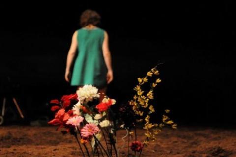 Looking for Antigone