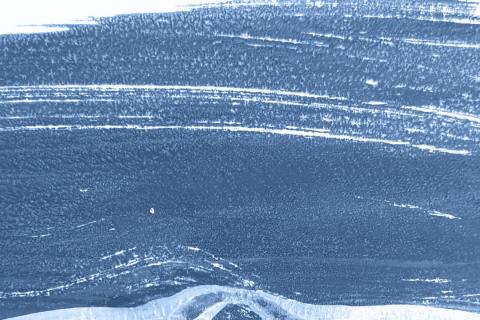 détail d'un monotype