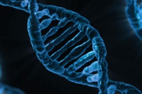 L’ADN forensique au-delà des apparences