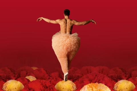 Tutu · Chicos Mambo