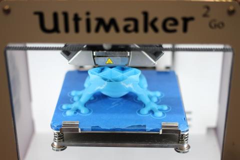 frog1