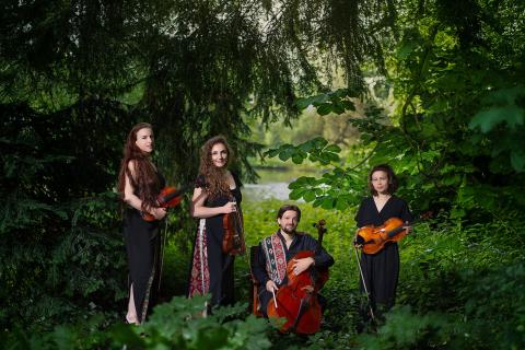 Dvorak, Dabic, Origins à Mars Mons