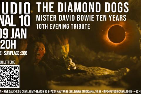 The Diamond Dogs tribute David Bowie