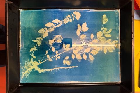 [ Atelier Cyanotype ] chez Brock'n'Roll