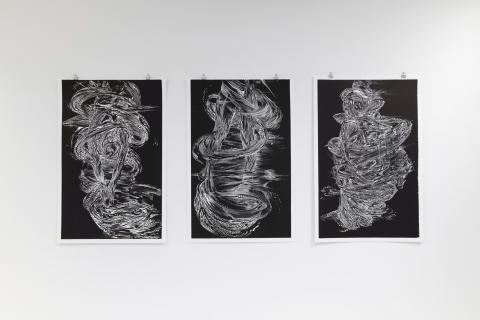 Conférence par Christophe Veys: les forces du noir et blanc