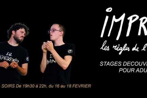 STAGE D'IMPRO MONS : D&eacute;couverte pour adultes 