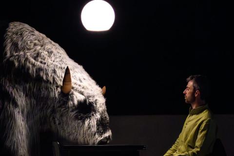 Fils de Batard Th&eacute;&acirc;tre 