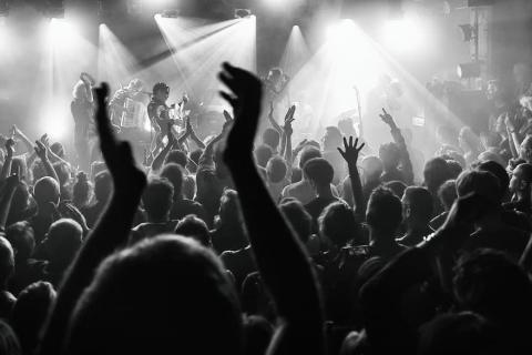 Les N&eacute;gresses Vertes