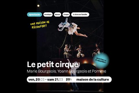 SPECTACLE - Le petit cirque