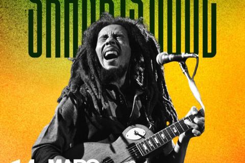 Skank is Cool / Concert tribute to Bob Marley