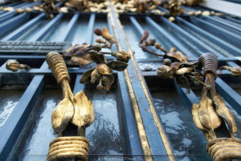 Visite guid&eacute;e - L'art v&eacute;g&eacute;tal dans l'architecture 