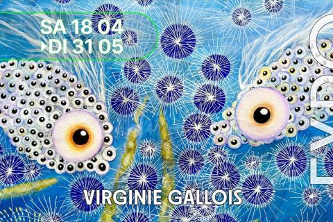Banner Virginie Gallois