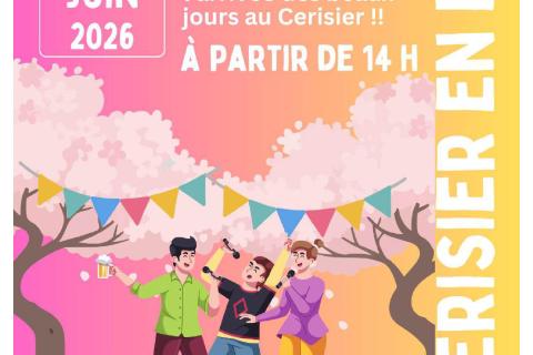 Des gens qui s'amuse sous des Cerisiers 