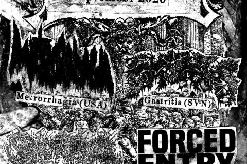 Metrorrhagia / Gastritis / Sarcophagia / Forced Entry / Violent Encounter / Prurit - Goregrind