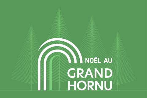 No&euml;l