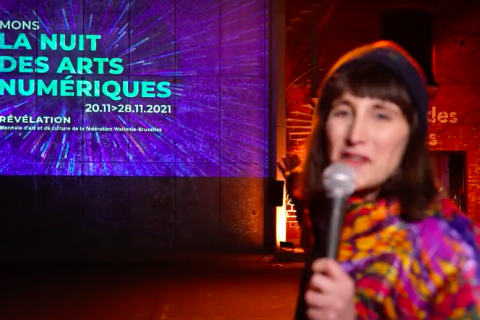 Chronique - La Nuit des Arts Numériques