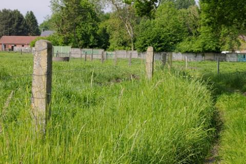 L'&eacute;chapp&eacute;e : visites guid&eacute;es et d&eacute;cal&eacute;es
